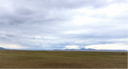 Нутгийн 60 гаруй хувьд бэлчээрийн ургамал цухуйгаагүй байна